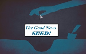 goodseed1